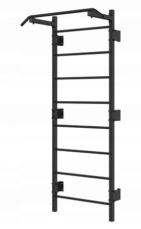 Kovový gymnastický žebřík s madlem UNDERFIT - černá