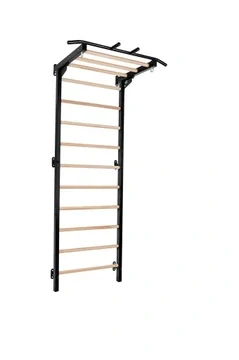 Gymnastický tréninkový žebřík HOME gym Basic - černá