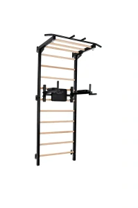 Gymnastický tréninkový žebřík HOME gym 3 v 1 - černá