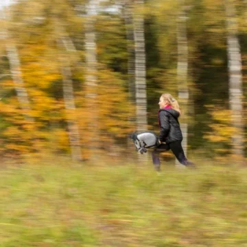 Hobby Horse Skippi A3 – bílý koník na tyči s ohlávkou a otěžemi